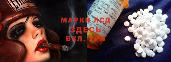 PSILOCYBIN Бугульма