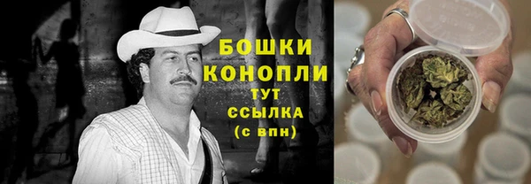 PSILOCYBIN Бугульма