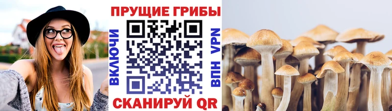 Псилоцибиновые грибы прущие грибы  Купить где  Макарьев 